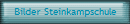 Bilder Steinkampschule