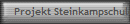 Projekt Steinkampschule